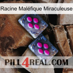Racine Maléfique Miraculeuse 01